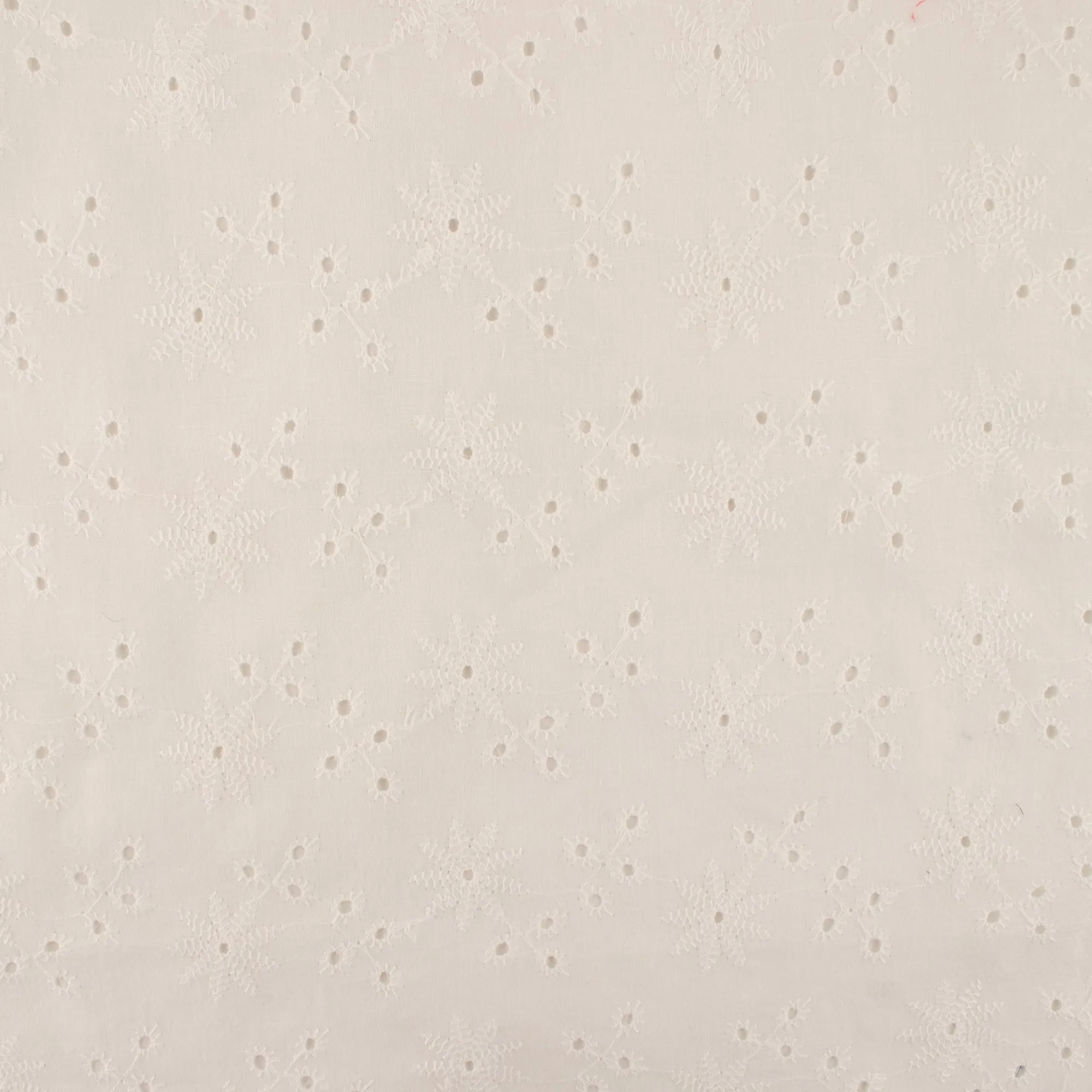 Fashion Embroidered Cotton - Daisy - Off white