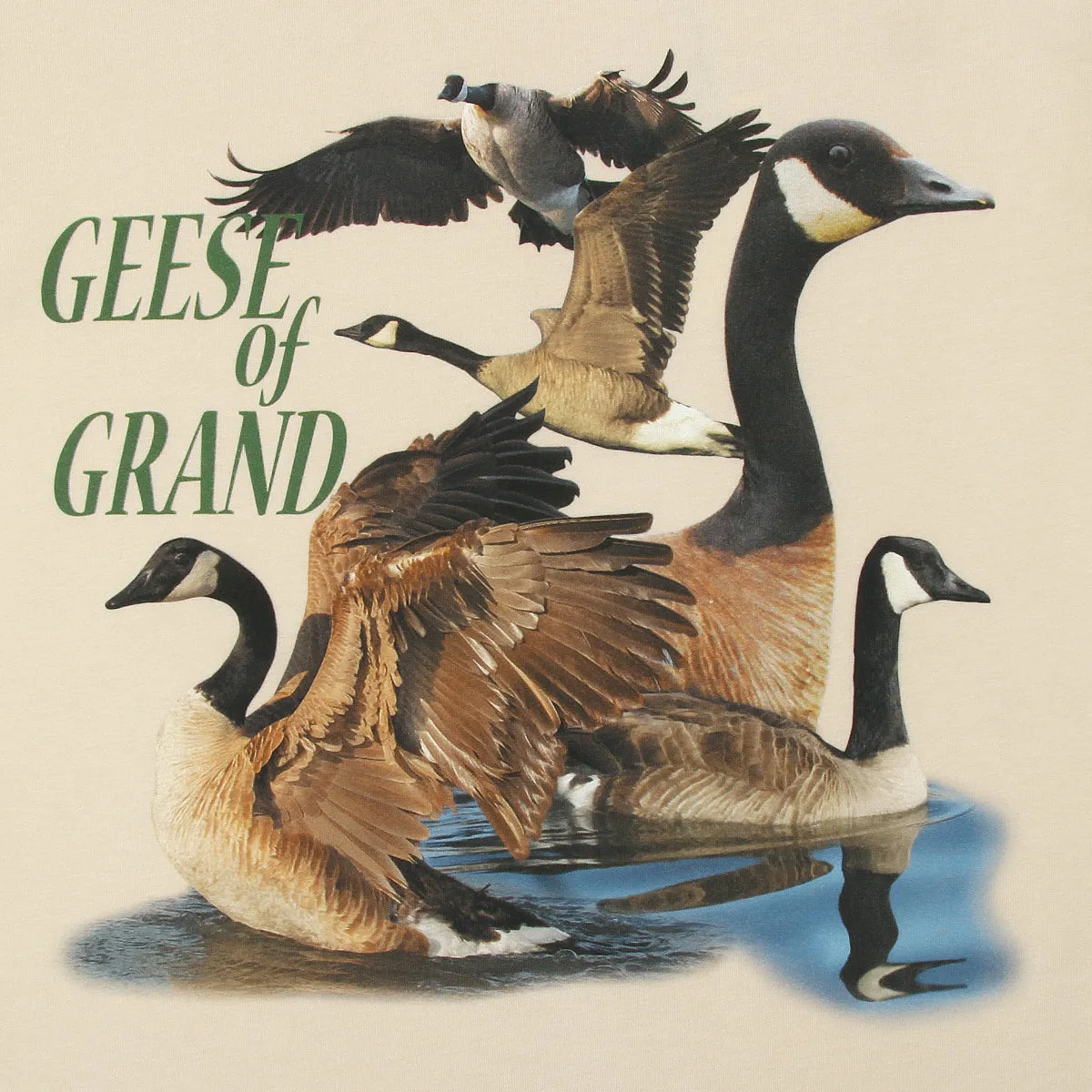 Geese of Grand T-Shirt