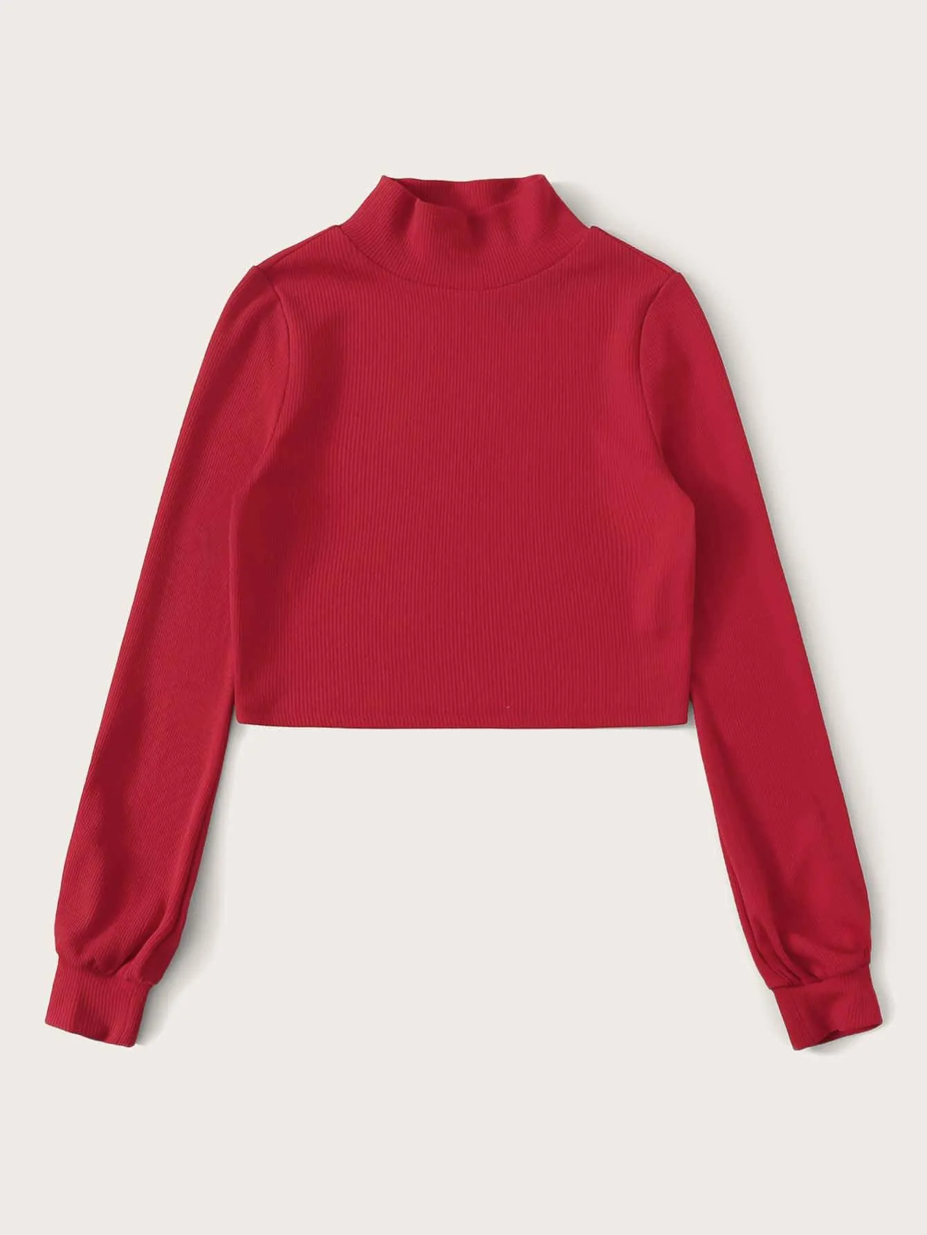 Solid Mock Neck Rib-knit Crop Tee